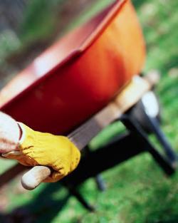 Yardwork