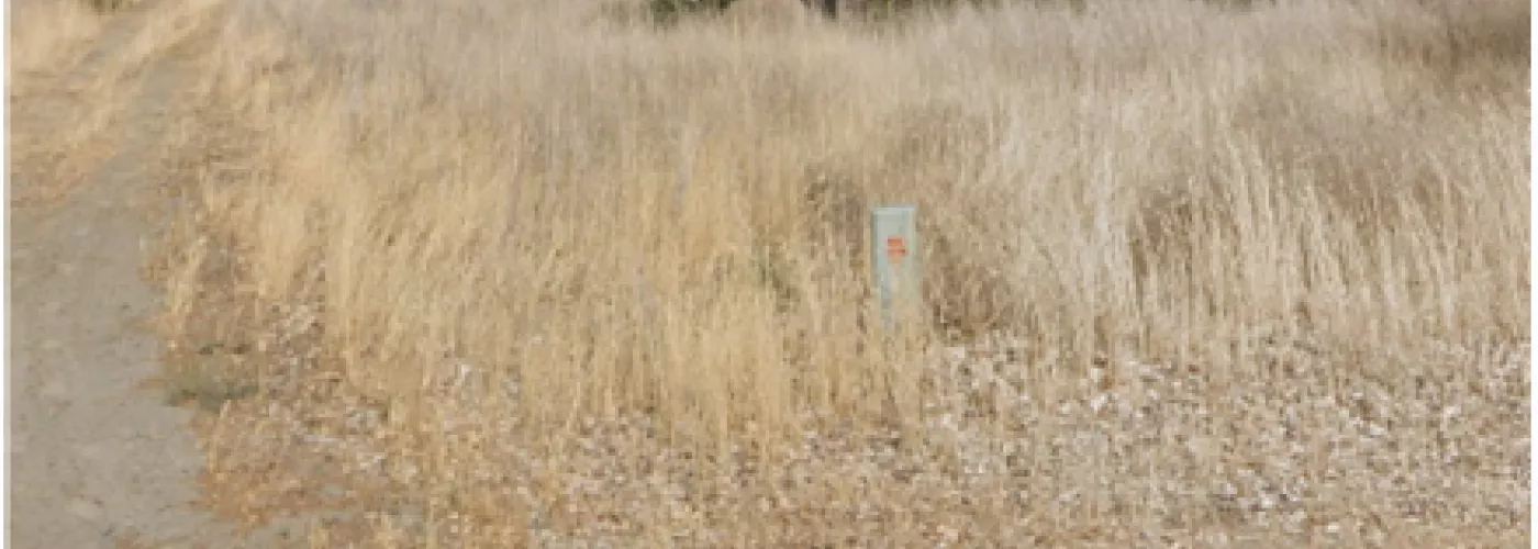 Oregon Trail Blvd to Faler Road SW